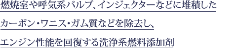 燃焼室や呼気系バルブ、インジェクターなどに堆積した カーボン・ワニス・ガム質などを除去し、エンジン性能を回復する洗浄系燃料添加剤
