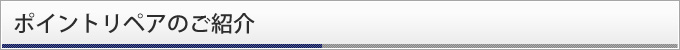 ポイントリペアのご紹介